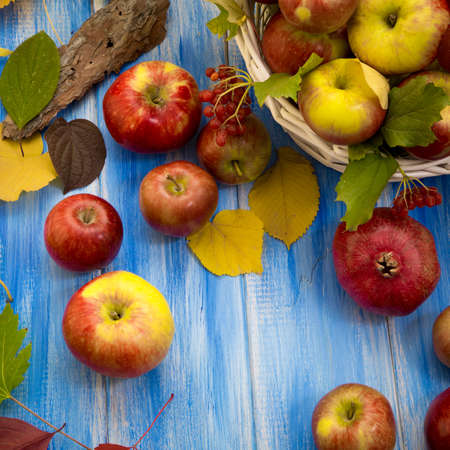 Autumn bright background. Flowers, leaves and fruits on a blue wooden background. Background for the autumn holidays and thanksgiving day.の写真素材