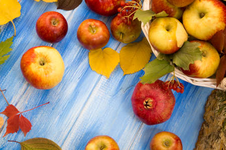 Autumn bright background. Flowers, leaves and fruits on a blue wooden background. Background for the autumn holidays and thanksgiving day.の写真素材
