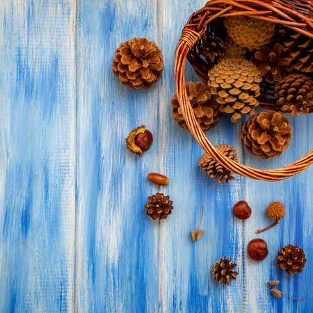 Brown cones on a blue background. New Year, Christmas and autumn background. Natural country style. Minimalismの写真素材