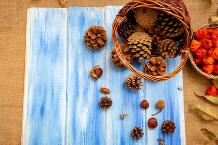 Brown cones on a blue background. New Year, Christmas and autumn background. Natural country style. Minimalismの写真素材