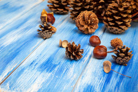 Brown cones on a blue background. New Year, Christmas and autumn background. Natural country style. Minimalismの写真素材