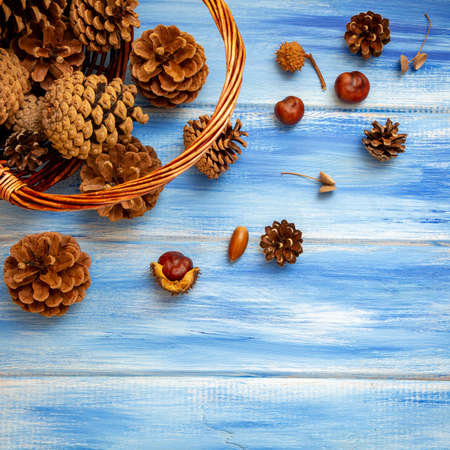 Brown cones on a blue background. New Year, Christmas and autumn background. Natural country style. Minimalismの写真素材