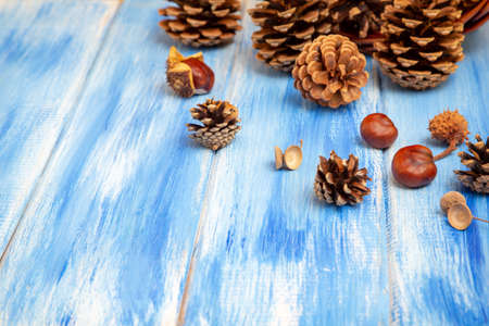 Brown cones on a blue background. New Year, Christmas and autumn background. Natural country style. Minimalismの写真素材