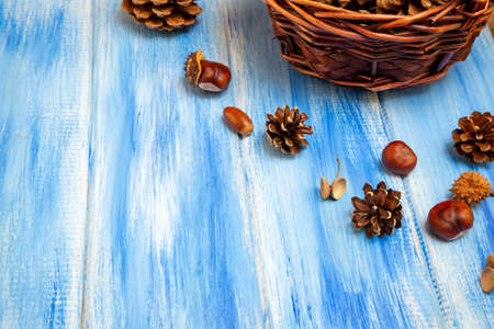 Brown cones on a blue background. New Year, Christmas and autumn background. Natural country style. Minimalismの写真素材