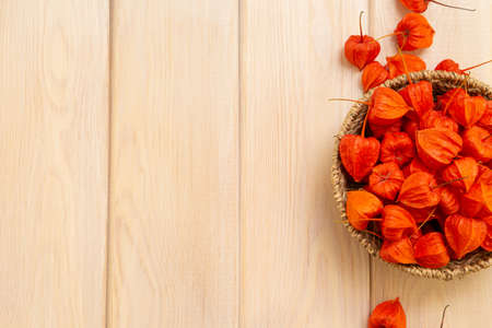 Autumn background. Bright orange physalis berries on a bright woody background. Background for the autumn holidays and thanksgiving day.の写真素材