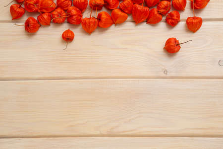 Autumn background. Bright orange physalis berries on a bright woody background. Background for the autumn holidays and thanksgiving day.の写真素材