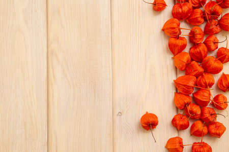 Autumn background. Bright orange physalis berries on a bright woody background. Background for the autumn holidays and thanksgiving day.の写真素材