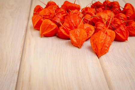 Autumn background. Bright orange physalis berries on a bright woody background. Background for the autumn holidays and thanksgiving day.の写真素材