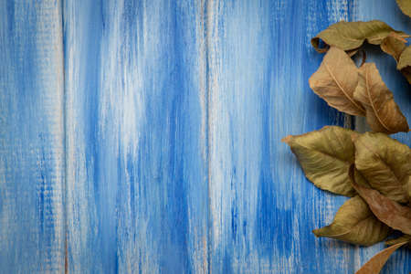 Autumn background. Autumn leaves on a blue wood background. Background for autumn holidays and...