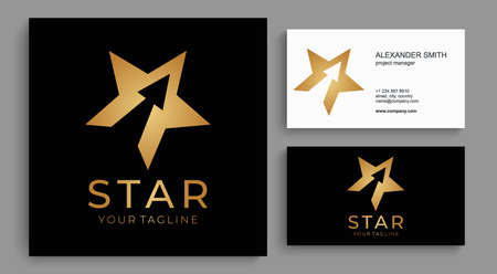 Star Universal abstract icon with a star symbol for any business. Star sign - a leader, success and...