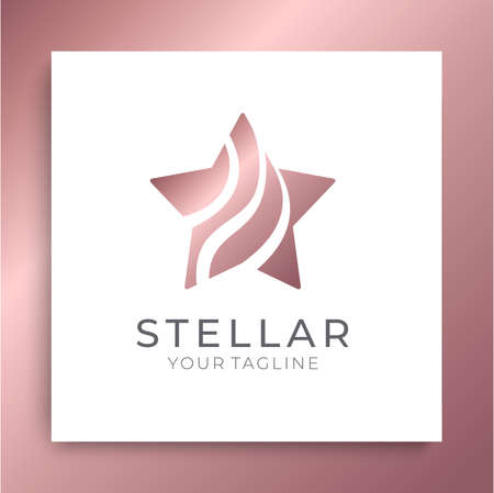 Star icon. Universal abstract  with a star symbol for any business. Star sign - a leader, success and power.のイラスト素材