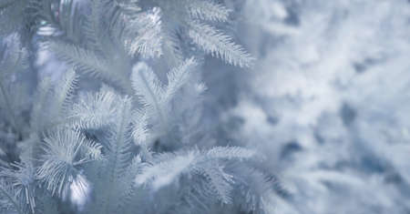 Christmas background, festive bright background to insert an image. New Year's and Christmas.
