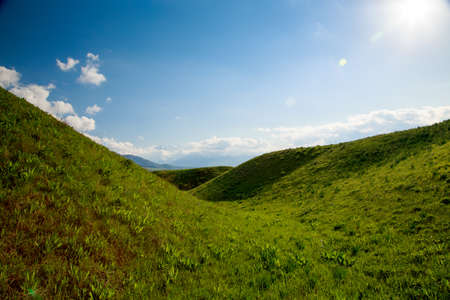 Beautiful spring and summer landscape. Lush green hills, high mountains. Spring blooming herbs....