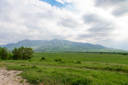 Beautiful spring and summer landscape. Lush green hills, high mountains. Spring flowering grass....