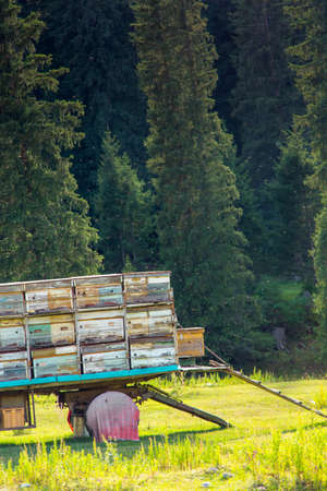 Honey bee hives high in the mountains on nature. Pure mountain honey. House of bees.