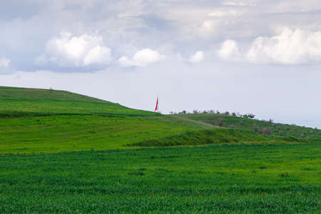 Cumulus clouds on a blue sky. Over the green field. Spring flowering grass.の写真素材