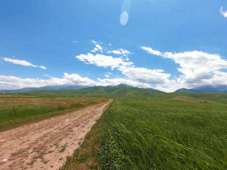 Beautiful spring and summer landscape. Mountain country road among green hills. Lush green hills, high mountains. Spring flowering grass.の写真素材