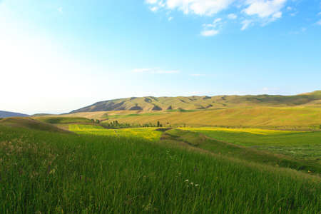 Beautiful spring and summer landscape. Lush green hills, high snowy mountains. Spring blooming herbs.の写真素材