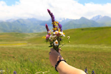 A bouquet of wild flowers in the girl's hand. Against the background of high mountains. Closeup of woman's hand holding summer wild flowers in her hands.の写真素材