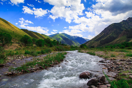 Mountain river among green mountains. Summer landscape.