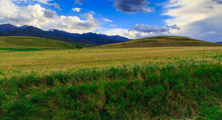 Beautiful spring and summer landscape. Lush green hills. Spring blooming herbs.の写真素材