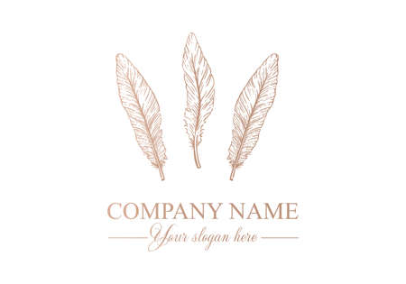 Feather logo vector template. Abstract design, elegant style. Brand for writer, yoga and other businesses. vectorのイラスト素材