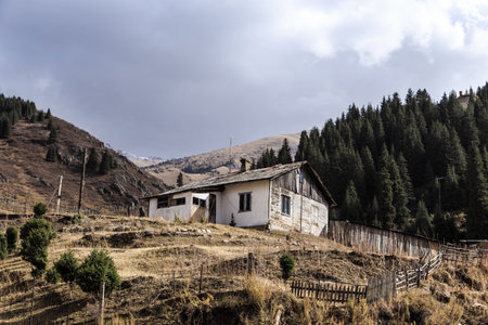 Old abandoned wooden house against the background of trees and a cloudy sky. Rural landscape.の写真素材