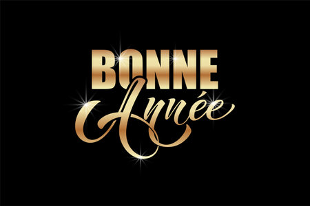 Joyeux noel and Bonee Annee. Merry Christmas card template with greetings in French. Hand drawn lettering. Premium vector illustration with typographic text for Merry Christmas card designのイラスト素材