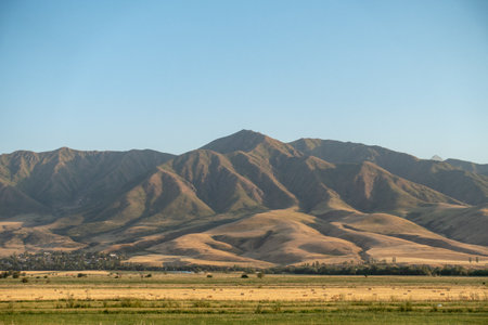 Beautiful mountain landscape. Golden landscape. Late Summer and early autumn outside the city.の写真素材