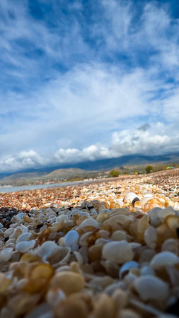 Seashells on the seashore. Kyrgyzstan, Lake Issyk-Kul.