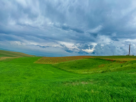 Green grass on a field in spring. Beautiful landscape.の写真素材