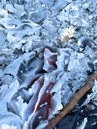 The texture is white gray ash from burnt leaves on the ground. Natural burnt paper.の写真素材