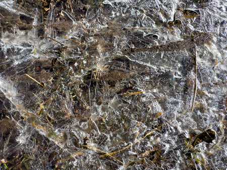 Close-up of frozen ground with blades of grass and air bubbles trapped in transparent ice. Natural winter textureの写真素材