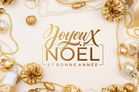 Joyeux noel and Bonee Annee. French Merry Christmas Modern calligraphy lettering on sticker for season greetings. Greeting card, frame, and banner.の写真素材