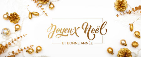 Joyeux noel and Bonee Annee. French Merry Christmas Modern calligraphy lettering on sticker for season greetings. Greeting card, frame, and banner.の写真素材