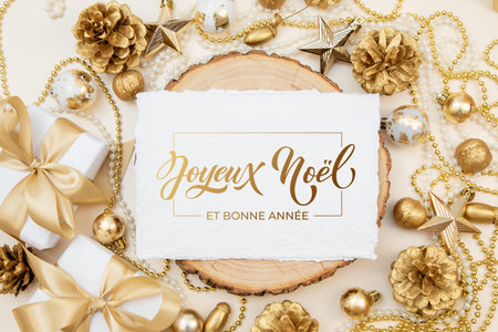 Joyeux noel and Bonee Annee. French Merry Christmas Modern calligraphy lettering on sticker for season greetings. Greeting card, frame, and banner.の写真素材