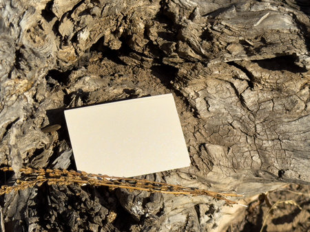 Two blank business cards placed on aged wooden surface. Warm sunlight creates natural atmospheric...