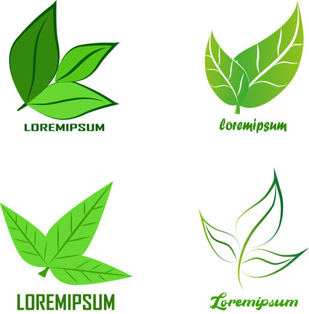 Green leafs logo. plant nature eco garden stylized icon vector botanical collectionのイラスト素材