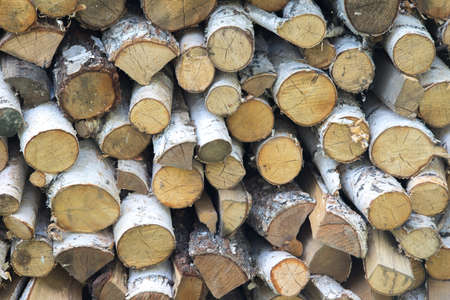 Firewood stacked in the woodpileの写真素材