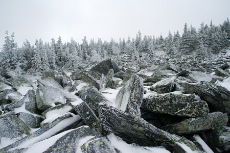 winter mountain landscapeの写真素材