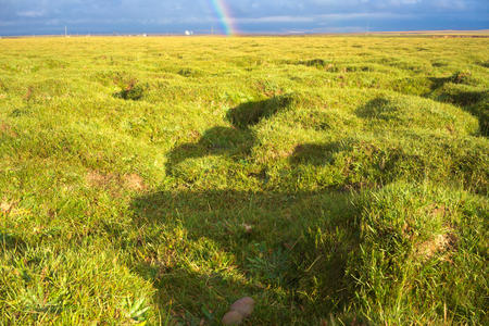 Green grass and a rainbow in the distanceの写真素材