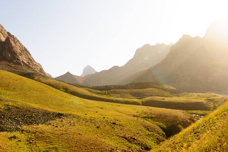 Alpine meadow at sunset in the mountainsの写真素材