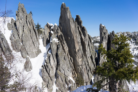 Ural mountains in National park Taganayの写真素材