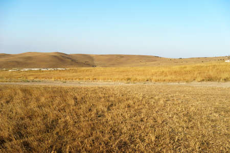 Landscape of the yellow autumn field with stonesの写真素材