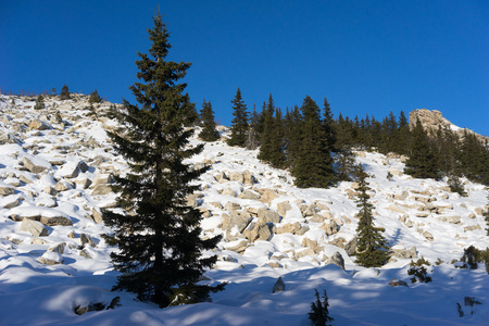 Top of Zuratkil mountainの写真素材