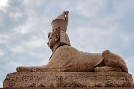 The Egyptian sphinx on the Neva embankment in Saint Petersburg. Russiaの写真素材