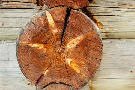 The end of the log closeup. Part of the wooden wallの写真素材