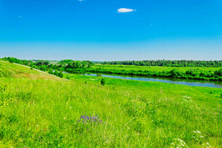 View of the river Cheptsa in summer dayの写真素材
