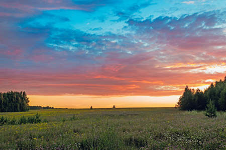 Sunrise in the clouds over the flower meadowの写真素材