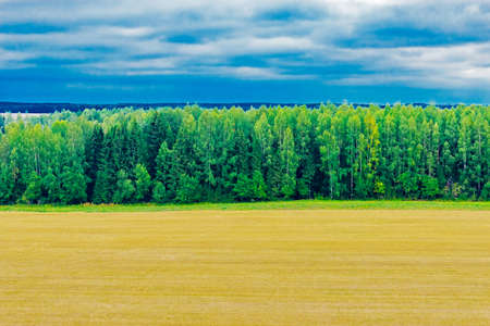 harvested field and forestの写真素材